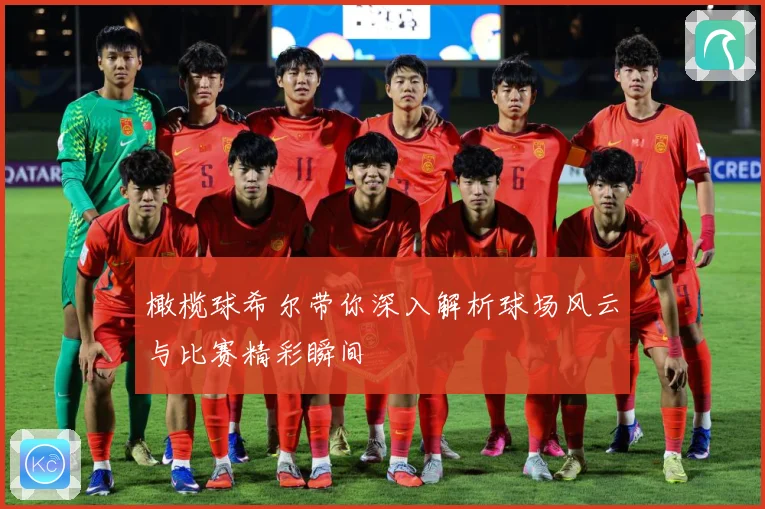 橄榄球希尔带你深入解析球场风云与比赛精彩瞬间