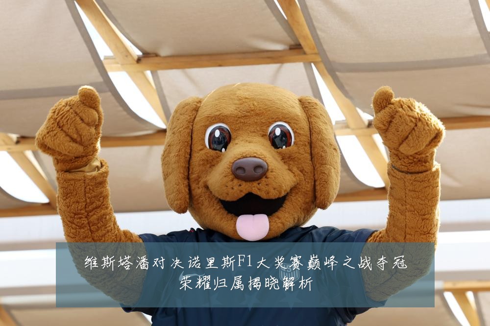 维斯塔潘对决诺里斯F1大奖赛巅峰之战夺冠荣耀归属揭晓解析